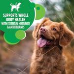 Iams Mini Chunks Dog Food - 7 lbs