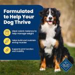 Blue Buffalo Healthy Weight Chicken & Brown Rice Dog Food