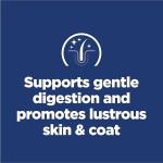 Hill's Science Diet Sensitive Stomach Dry Dog Food