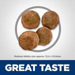 Hill's Science Diet Sensitive Stomach Dry Dog Food