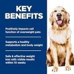 Hill's Science Diet Perfect Weight Dog Food, 25 lb