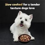 Cesar Wet Dog Food Variety Pack (24)