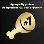 Cesar Wet Dog Food Variety Pack (24)