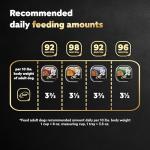 Cesar Wet Dog Food Variety Pack (24)