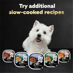 Cesar Wet Dog Food Variety Pack (24)