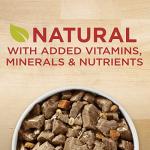 Purina ONE Beef & Barley Wet Dog Food, 12 Pack