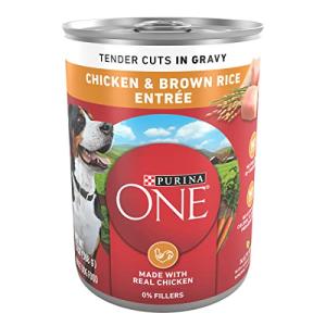 Purina ONE High Protein Chicken & Rice Dog Food
