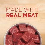 Purina ONE Beef & Barley Wet Dog Food, 12 Pack