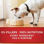 Purina ONE Beef & Barley Wet Dog Food, 12 Pack