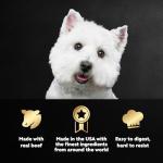 Cesar Prime Rib Wet Dog Food, 24 Trays