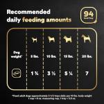 Cesar Prime Rib Wet Dog Food, 24 Trays