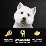 Cesar Grilled Chicken Wet Dog Food, 24 Count