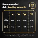 Cesar Grilled Chicken Wet Dog Food, 24 Count