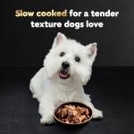 Cesar Wet Dog Food Steak & Chicken Variety Pack