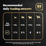 Cesar Filets in Gravy Rotisserie Chicken Dog Food