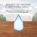 Blue Buffalo Wilderness High Protein Dog Food Pack