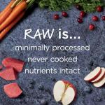 Instinct Raw Boost, Grain Free Beef Dog Food