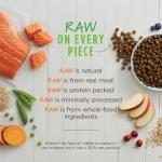 Instinct Be Natural Salmon & Brown Rice Dog Food