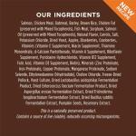 Instinct Be Natural Salmon & Brown Rice Dog Food