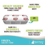 Raw Paws Beef Recipe Pet Food Rolls, 20 Pack