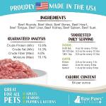 Raw Paws Beef Recipe Pet Food Rolls, 20 Pack
