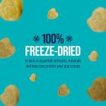 Stewart Raw Naturals Freeze-Dried Dog Food, Chicken & Salmon