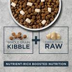 Instinct Raw Boost Dog Food with Lamb & Oatmeal