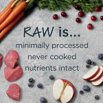 Instinct Raw Boost Dog Food with Lamb & Oatmeal