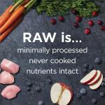 Instinct Raw Boost Small Breed Grain-Free Dog Food