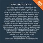 Instinct Raw Boost Small Breed Grain-Free Dog Food