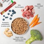 Nutra Complete Freeze-Dried Raw Dog Food - Beef