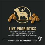 Purina Pro Plan High Protein Small Breed Puppy Food