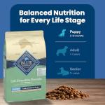 Blue Buffalo Puppy Dry Dog Food - Lamb & Oatmeal