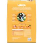 IAMS Large Breed Puppy Food with Real Chicken