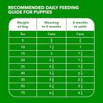 IAMS Proactive Health Puppy Wet Dog Food, 12 Cans