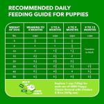 IAMS Proactive Health Puppy Food with Chicken