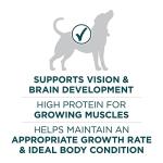 Purina One Puppy Dry Dog Food, High Protein