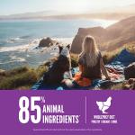 ORIJEN Grain Free High Protein Large Puppy Food