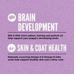 ORIJEN Grain Free High Protein Large Puppy Food