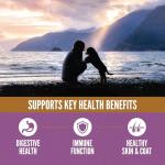 ORIJEN High Protein Large Breed Puppy Food 22.5lb