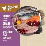 ORIJEN High Protein Large Breed Puppy Food 22.5lb