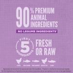 ORIJEN High Protein Large Breed Puppy Food 22.5lb