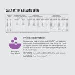 ORIJEN High Protein Large Breed Puppy Food 22.5lb