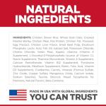 Hill's Science Diet Puppy Dry Dog Food, 4 lb