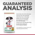 Hill's Science Diet Puppy Dry Dog Food, 4 lb