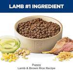Hill's Science Diet Puppy Dry Dog Food, Lamb & Rice