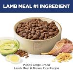 Hill's Science Diet Large Breed Puppy Food, Lamb & Rice