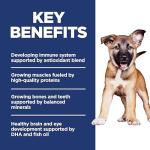 Hill's Science Diet Large Breed Puppy Food, Lamb & Rice