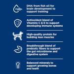 Hill's Science Diet Puppy Lamb & Rice Dog Food