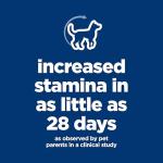 Hill's Science Diet Senior Dry Dog Food, Chicken